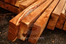 Wood for industrial applications. 이미지 (453139953) - 게티이미지뱅크 Wood for industrial applications.