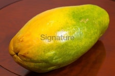 파파엔헬스케어(Papa&Health Care) | Healthy Living: Tropical fruit - Papaya whole 이미지 (450732395) - 게티이미지뱅크 Healthy Living: Tropical fruit - Papaya whole