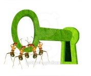 Ant team 이미지 (178982401) - 게티이미지뱅크 Ant team