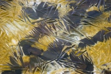 Ice structure 이미지 (177778700) - 게티이미지뱅크 Ice structure