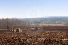 spring 이미지 (178166210) - 게티이미지뱅크 spring