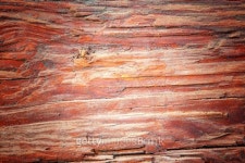Texture of wood. 이미지 (453898797) - 게티이미지뱅크 Texture of wood.
