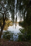 Summer landscape 이미지 (180678385) - 게티이미지뱅크 Summer landscape
