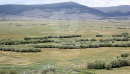 Willows, meadow & mountains 이미지 (160830727) - 게티이미지뱅크 Willows, meadow & mountains