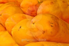 파파엔헬스케어(Papa&Health Care) | papaya for health 이미지 (186000338) - 게티이미지뱅크 papaya for health