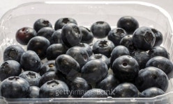 Blueberries. 이미지 (181440581) - 게티이미지뱅크 Blueberries.