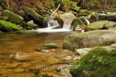 Mountain river stream with moss rocks 이미지 (455025097) - 게티이미지뱅크 Mountain river stream with moss rocks