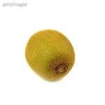 Kiwi Fruit on white background 이미지 (178999260) - 게티이미지뱅크 Kiwi Fruit on white background