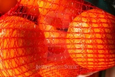 Mesh oranges from the supermarket 이미지 (186434307) - 게티이미지뱅크 Mesh oranges from the supermarket