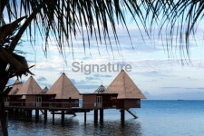 Over water bungalow 이미지 (181144629) - 게티이미지뱅크 Over water bungalow