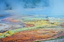 Awsome Multi Colored Grand Prismatic Lake in Yellowstone Wyoming... Awsome Multi Colored Grand Prismatic Lake in Yellowstone Wyoming