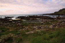 Giants Causeway at dusk 이미지 (459974711) - 게티이미지뱅크 Giants Causeway at dusk