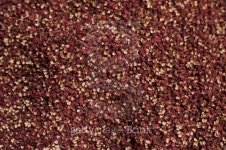 Grain 이미지 (179029356) - 게티이미지뱅크 Grain