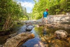 Stream Crossing 이미지 (178556950) - 게티이미지뱅크 Stream Crossing
