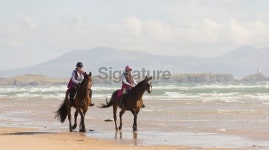 The best things in life are free! 이미지 (180732216) - 게티이미지뱅크 The best things in life are free!