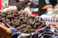 Truffles 이미지 (451183481) - 게티이미지뱅크 Truffles