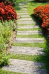 way in the garden 이미지 (460683445) - 게티이미지뱅크 way in the garden