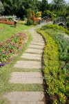 way in the garden 이미지 (460901589) - 게티이미지뱅크 way in the garden