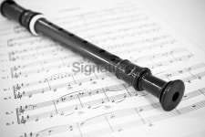 Sopranino recorder flute 이미지 (186359375) - 게티이미지뱅크 Sopranino recorder flute