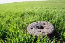 old millstone on crop spring field 이미지 (186422801) - 게티이미지뱅크 old millstone on crop spring field