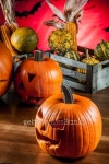 Scary halloween pumpkins 이미지 (185039086) - 게티이미지뱅크 Scary halloween pumpkins
