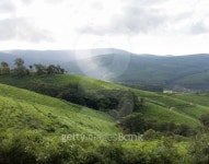 South Africa countryside in Komatiland Forest 이미지 (186334236) - 게티이미지뱅크 South Africa countryside in Komatiland Forest