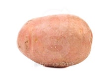 Red potato 이미지 (185428893) - 게티이미지뱅크 Red potato