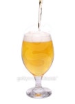 앤제이 beer | Beer glass 이미지 (179247493) - 게티이미지뱅크 Beer glass