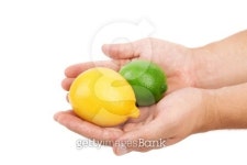fresh lime and lemon on hands isolated 이미지 (454263869) - 게티이미지뱅크 fresh lime and lemon on hands isolated