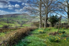 Welsh countryside garden 이미지 (450807147) - 게티이미지뱅크 Welsh countryside garden