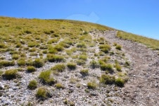 Hiking Path in the Umbrian-Marchean Apennines 이미지 (178031403) - 게티이미지뱅크 Hiking Path in the Umbrian-Marchean Apennines