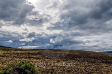 Agriculture and nature in one 이미지 (186966360) - 게티이미지뱅크 Agriculture and nature in one