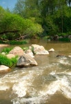 Clear water in fast small river quickly runs between stones 이미지 (178718174) - 게티이미지뱅크 Clear water in fast small... 