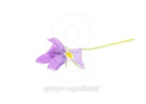 Blue iris on a white background 이미지 (183167770) - 게티이미지뱅크 Blue iris on a white background
