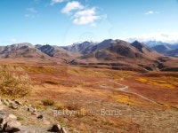 Denali national park 이미지 (181306821) - 게티이미지뱅크 Denali national park