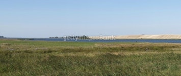 Salzwiesen an der Ostsee 이미지 (186926651) - 게티이미지뱅크 Salzwiesen an der Ostsee