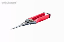 Pruning shears on isolated white background 이미지 (453190325) - 게티이미지뱅크 Pruning shears on isolated white background