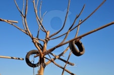 한국타이어용진밧줄 | tree with rubber tires and rope 이미지 (453270885) - 게티이미지뱅크 tree with rubber tires and rope