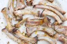 treat for my pet 이미지 (178871258) - 게티이미지뱅크 treat for my pet