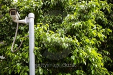 CCTV under trees in the park 이미지 (184016065) - 게티이미지뱅크 CCTV under trees in the park
