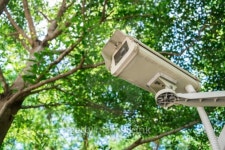 CCTV under trees in the park 이미지 (184016092) - 게티이미지뱅크 CCTV under trees in the park