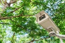 CCTV under trees in the park 이미지 (183325764) - 게티이미지뱅크 CCTV under trees in the park
