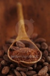 cocoa powder in spoon  on roasted  chocolate beans 이미지 (452236701) - 게티이미지뱅크 cocoa powder in spoon  on roasted... 