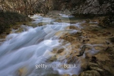 Beautiful waterfalls in the forest 이미지 (178864142) - 게티이미지뱅크 Beautiful waterfalls in the forest