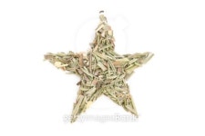 Rosemary (Rosmarinus officinalis) isolated in star shape 이미지 (186290090) - 게티이미지뱅크 Rosemary (Rosmarinus... 