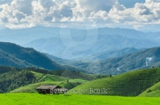 Mountain Farm in Chiang Mai 이미지 (185424711) - 게티이미지뱅크 Mountain Farm in Chiang Mai