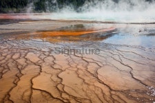 Awsome Multi Colored Grand Prismatic Lake in Yellowstone Wyoming... Awsome Multi Colored Grand Prismatic Lake in Yellowstone Wyoming