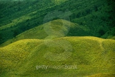 Green prairie landscape 이미지 (174493885) - 게티이미지뱅크 Green prairie landscape