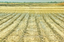 Soil 이미지 (452266965) - 게티이미지뱅크 Soil