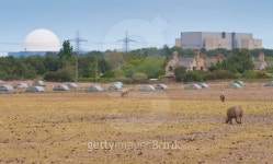 Nuclear Power Plant and farm animals 이미지 (175917147) - 게티이미지뱅크 Nuclear Power Plant and farm animals